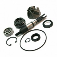 Opravná sada vodního čerpadla HONDA SH 125-150 (01-08) / CHIOCCIOLA 125-150 (00-06)